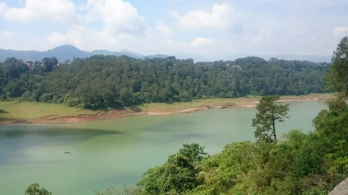 PRESA NECAXA